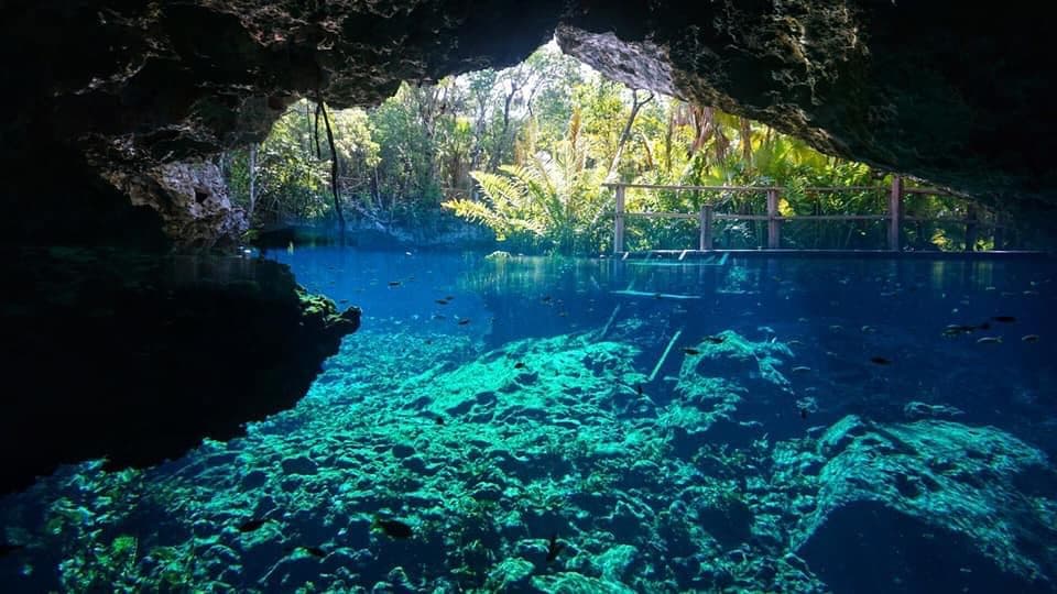 Cenotes Tour
